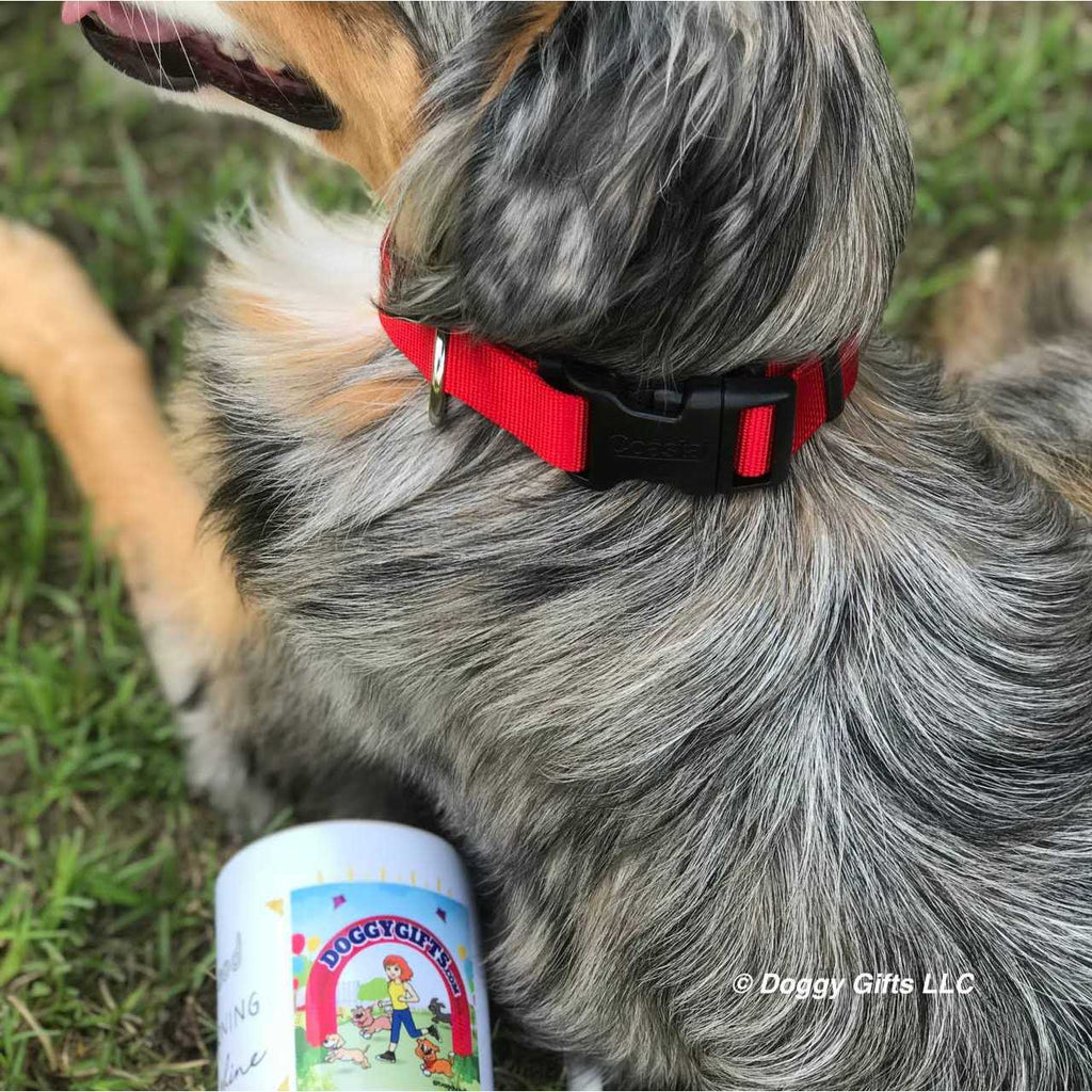 Flea Collar Protector Q3248