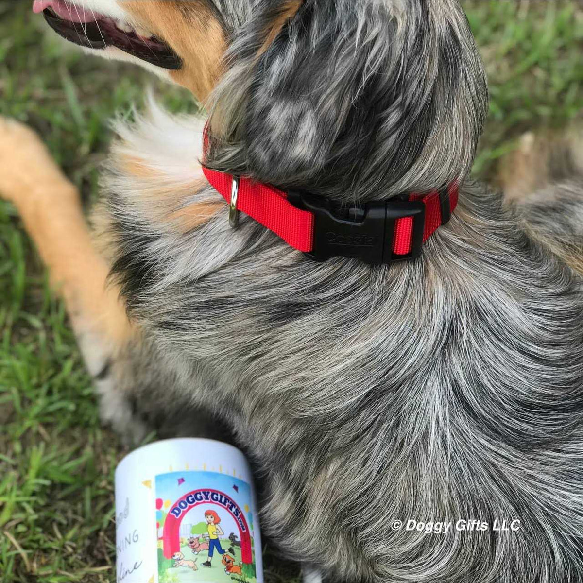 Flea Collar Protector Q3248