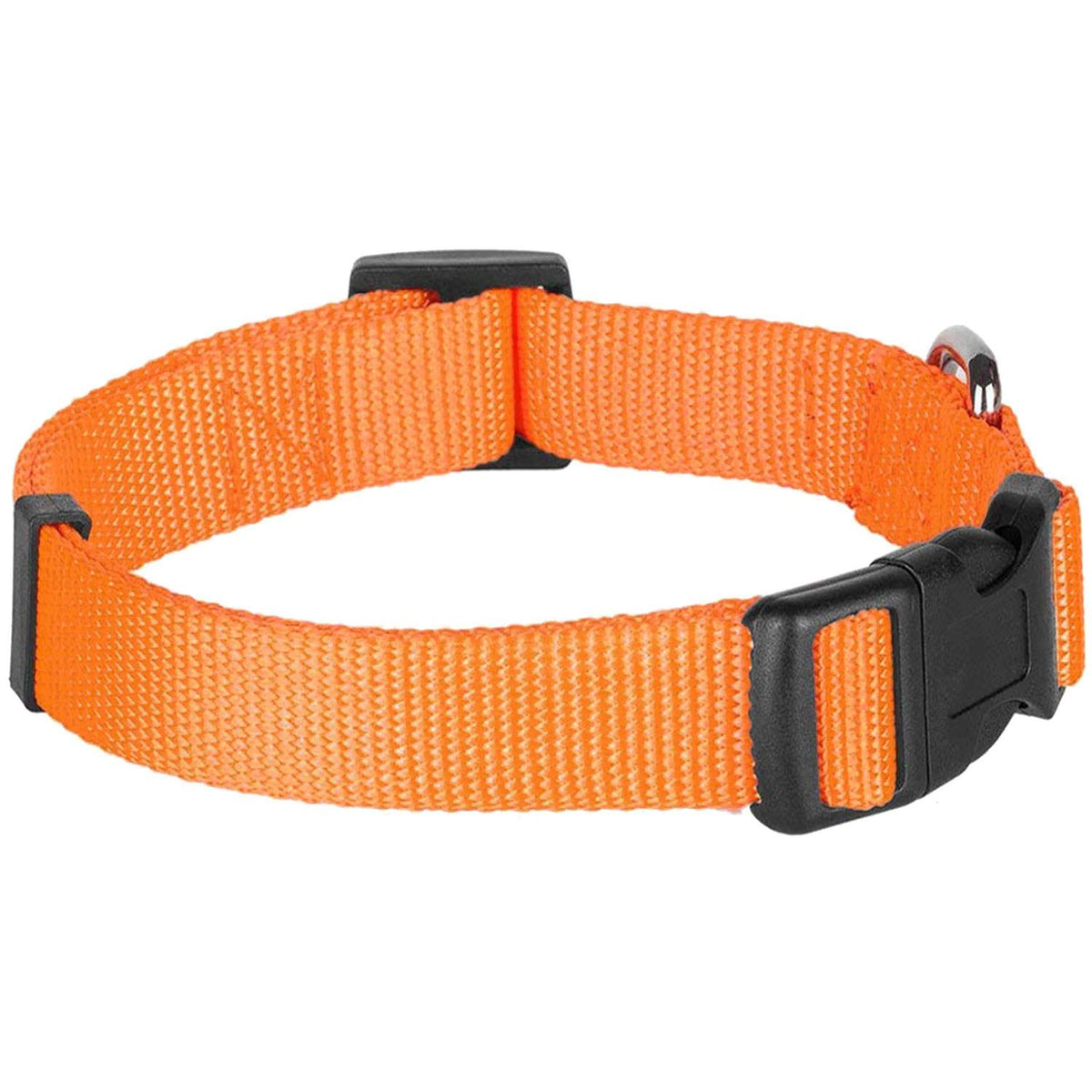Classic Dog Collar V524