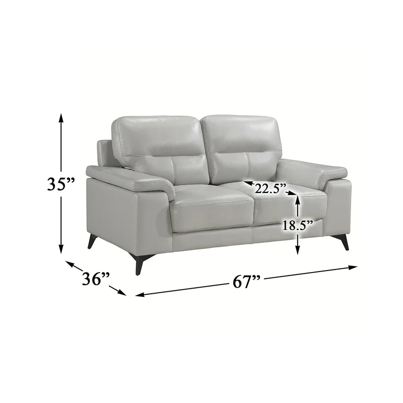 Silver Gray Leather 2-Piece Upholstered Sofa Set U483