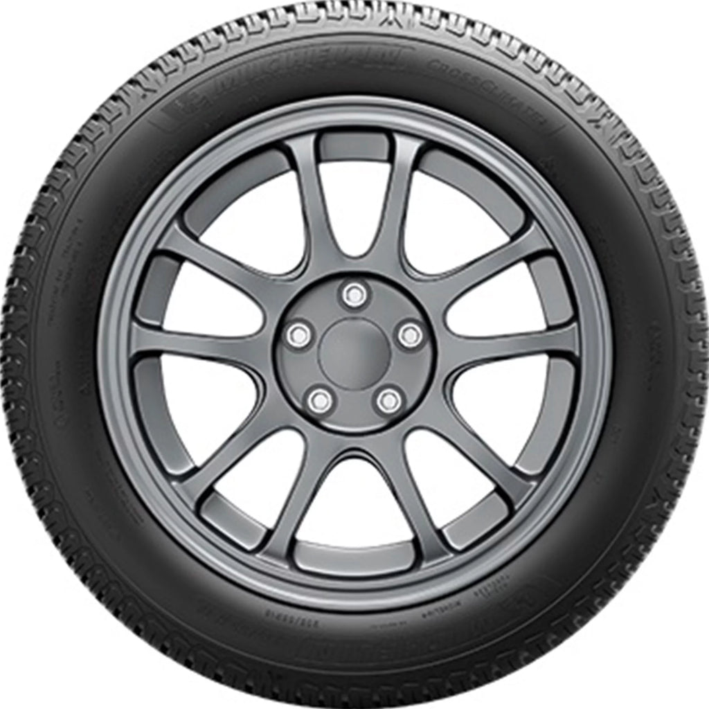 All Weather 245/55R19 107V XL Passenger Tire P492