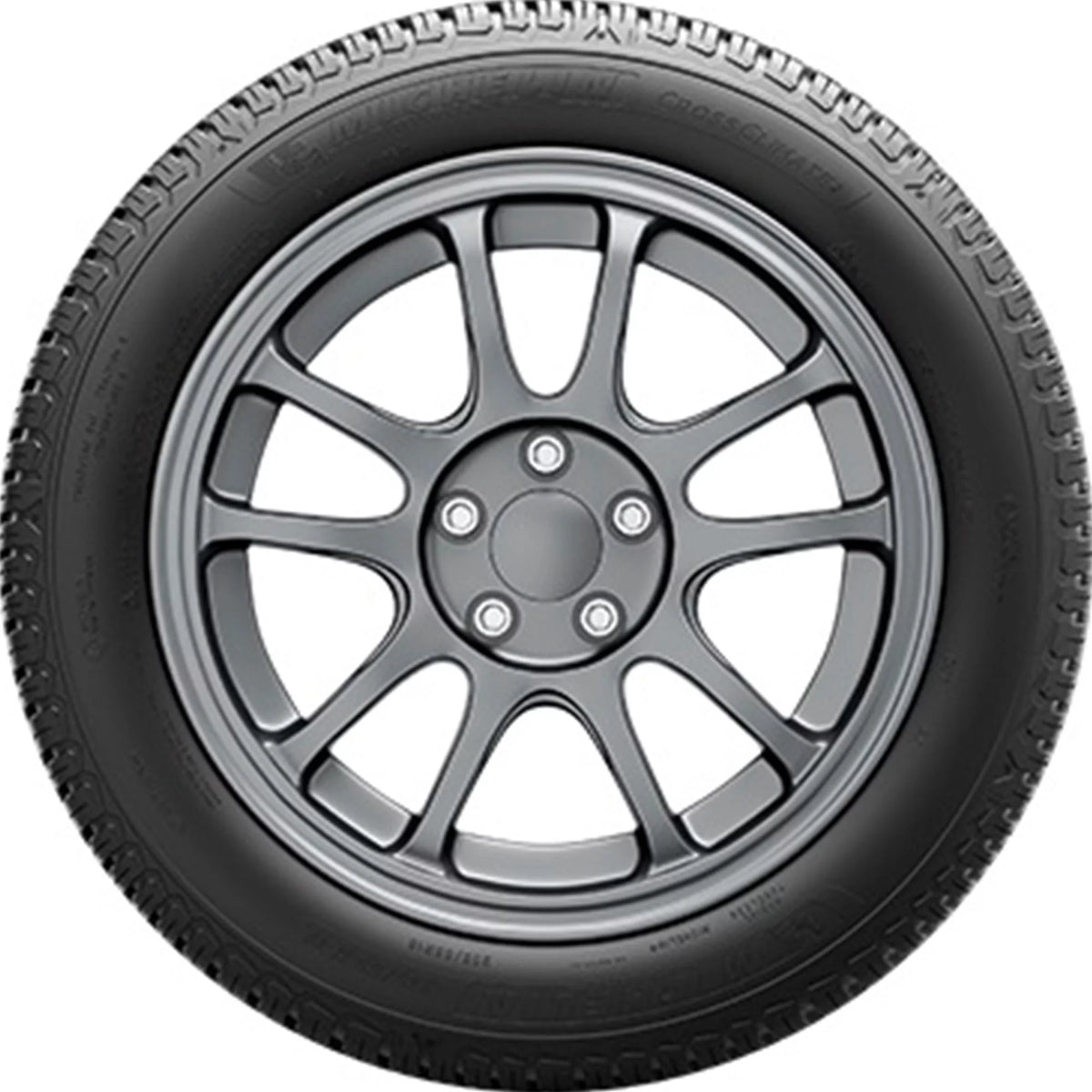 All Weather 245/55R19 107V XL Passenger Tire P492