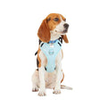 Teal Dog Harness B846809