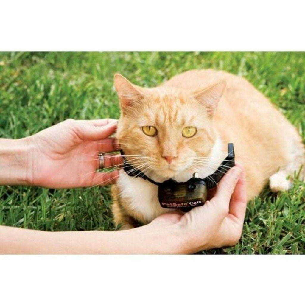 In-Ground Cat Fence Receiver Collar R414823