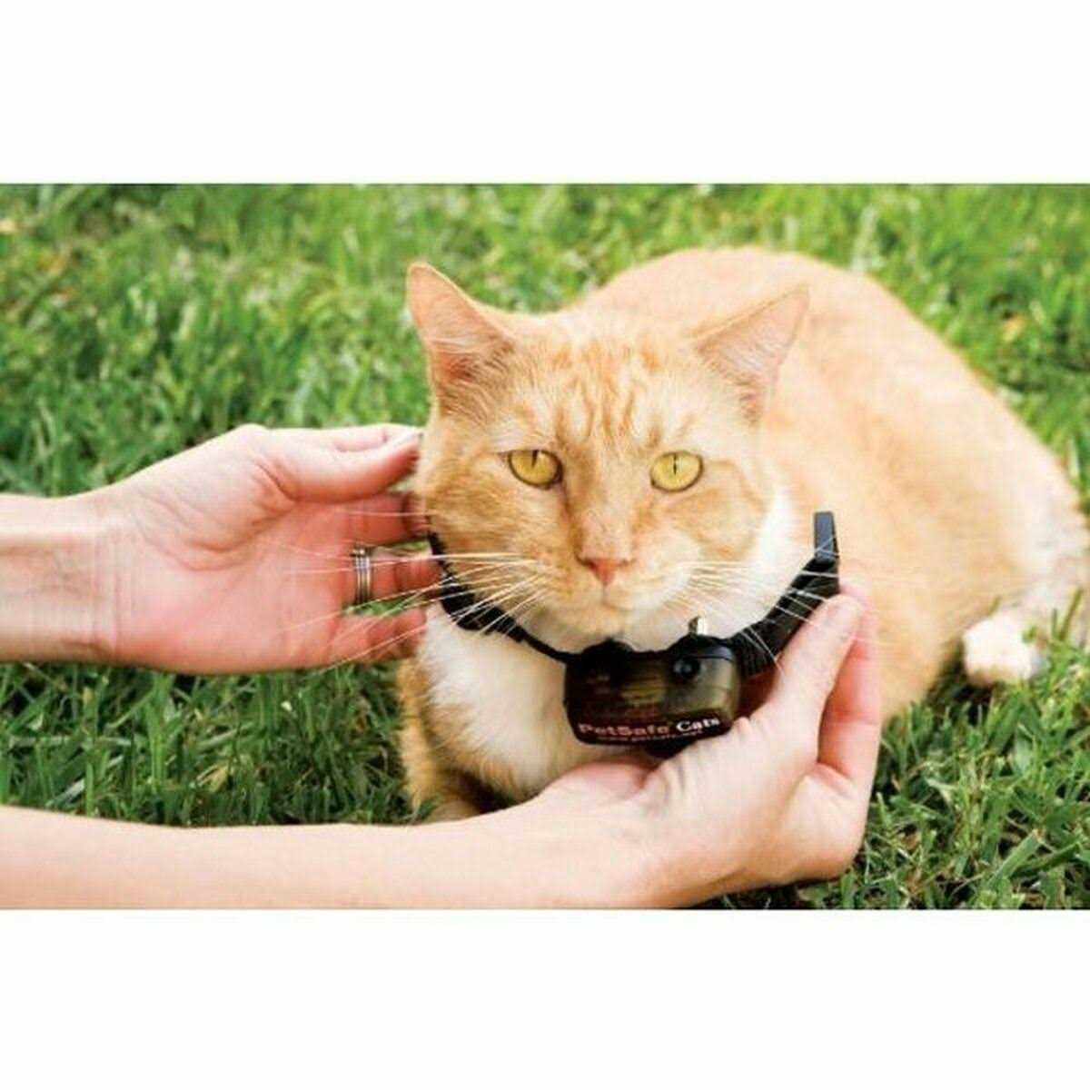 In-Ground Cat Fence Receiver Collar R414823