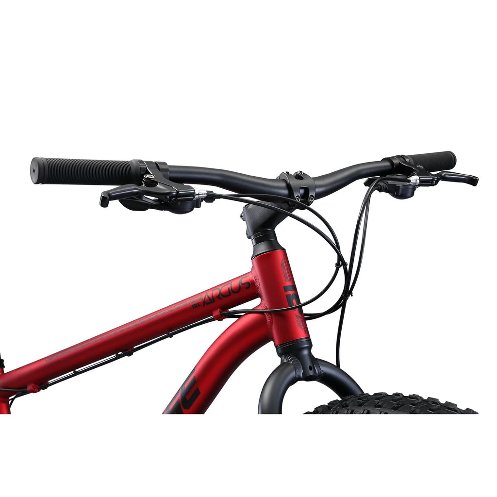 Red 26-Inch Fat Tire Mountain Bike R2066
