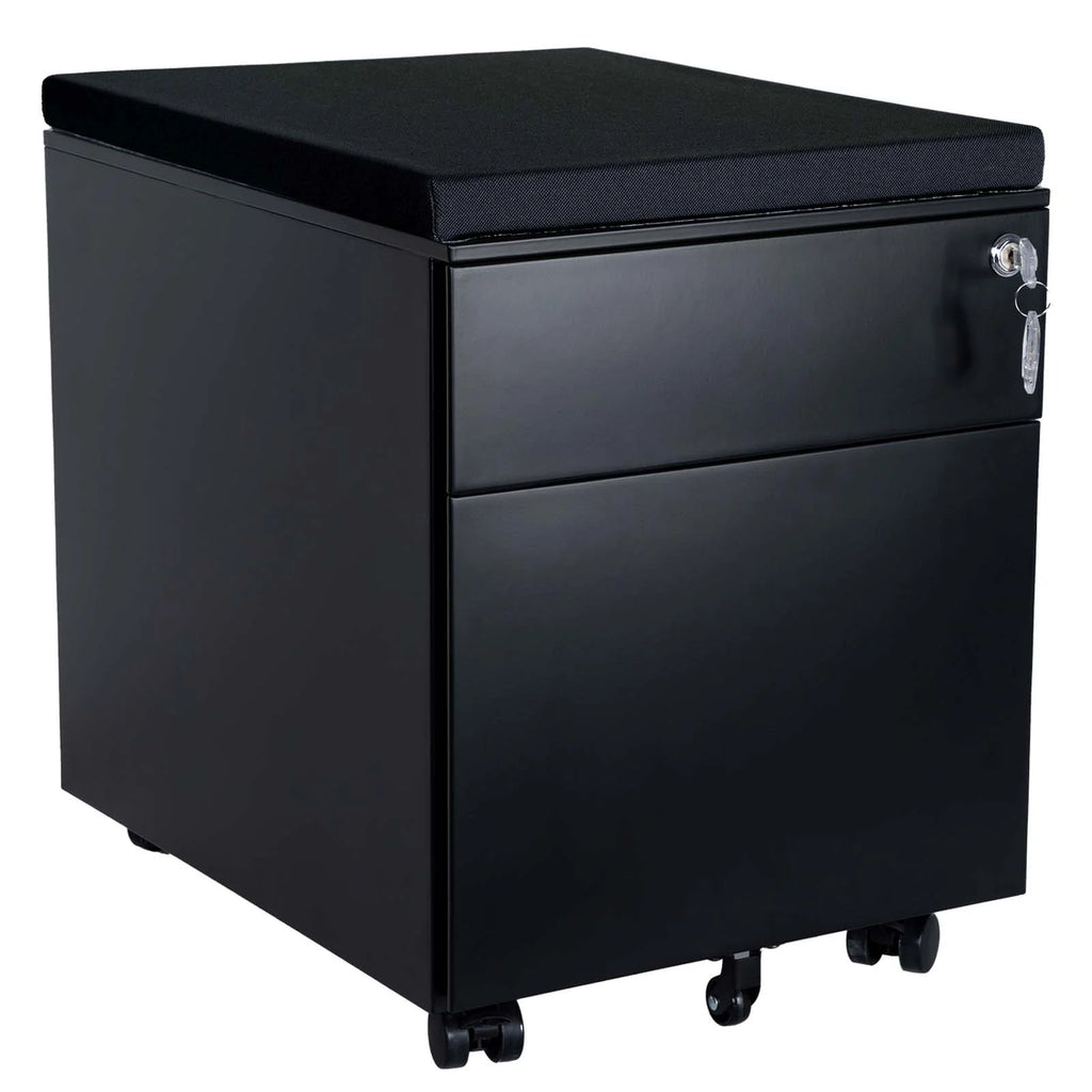 2-Drawer Mobile File Cabinet N790335