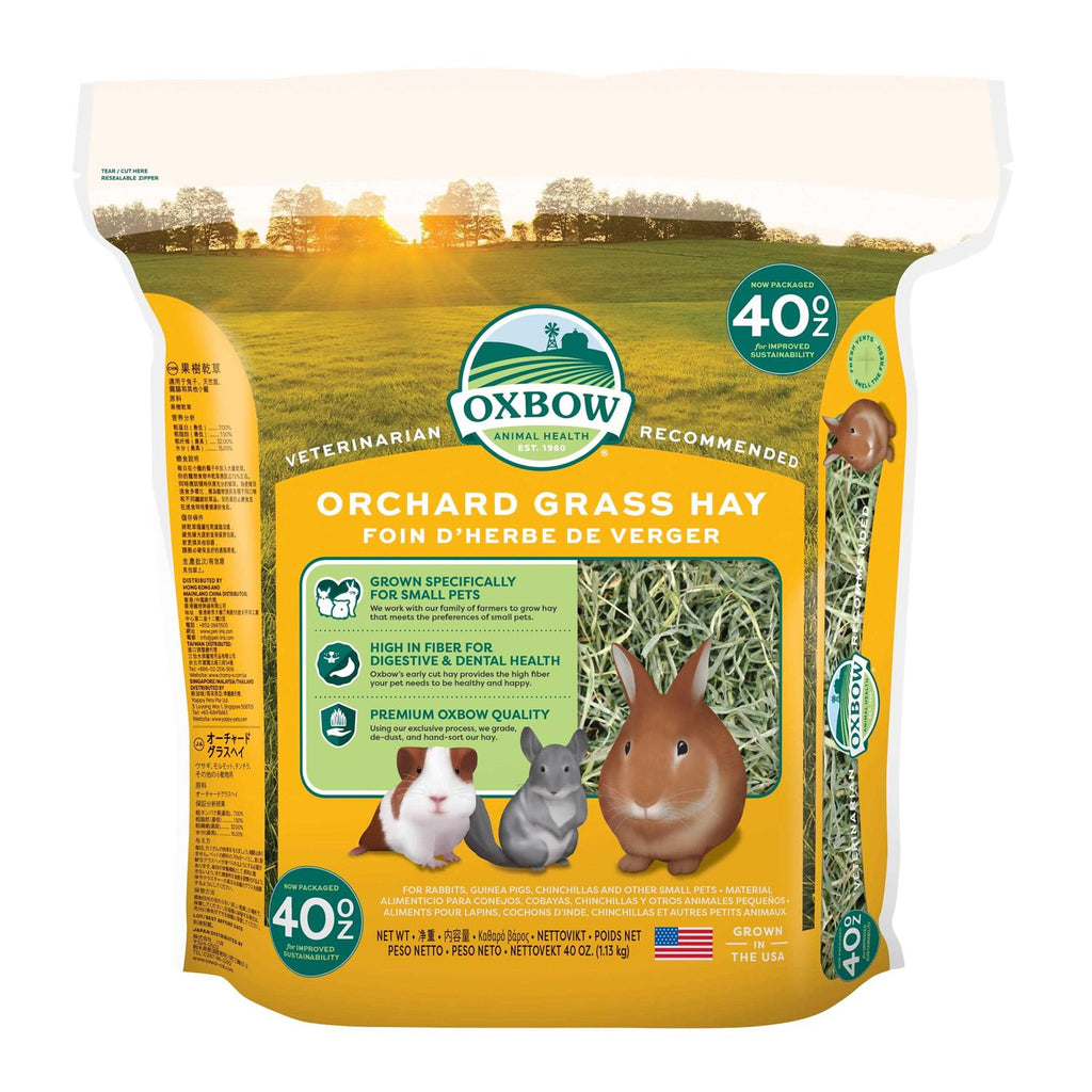 Orchard Grass Hay V931