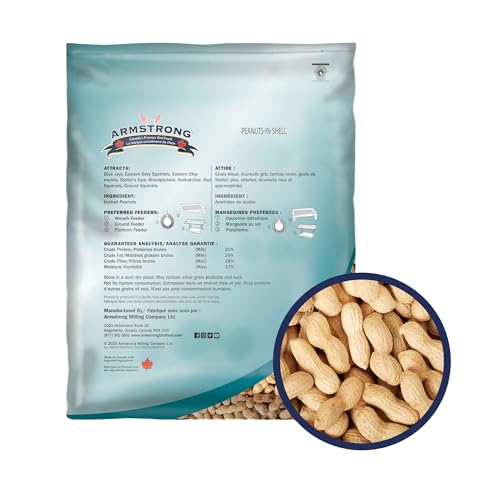 Peanuts-in-Shell, 10 Pounds J9716