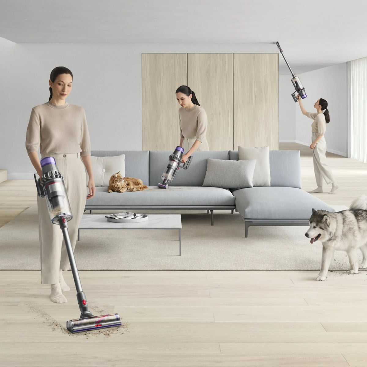 Cordless Vacuum Cleaner P189886