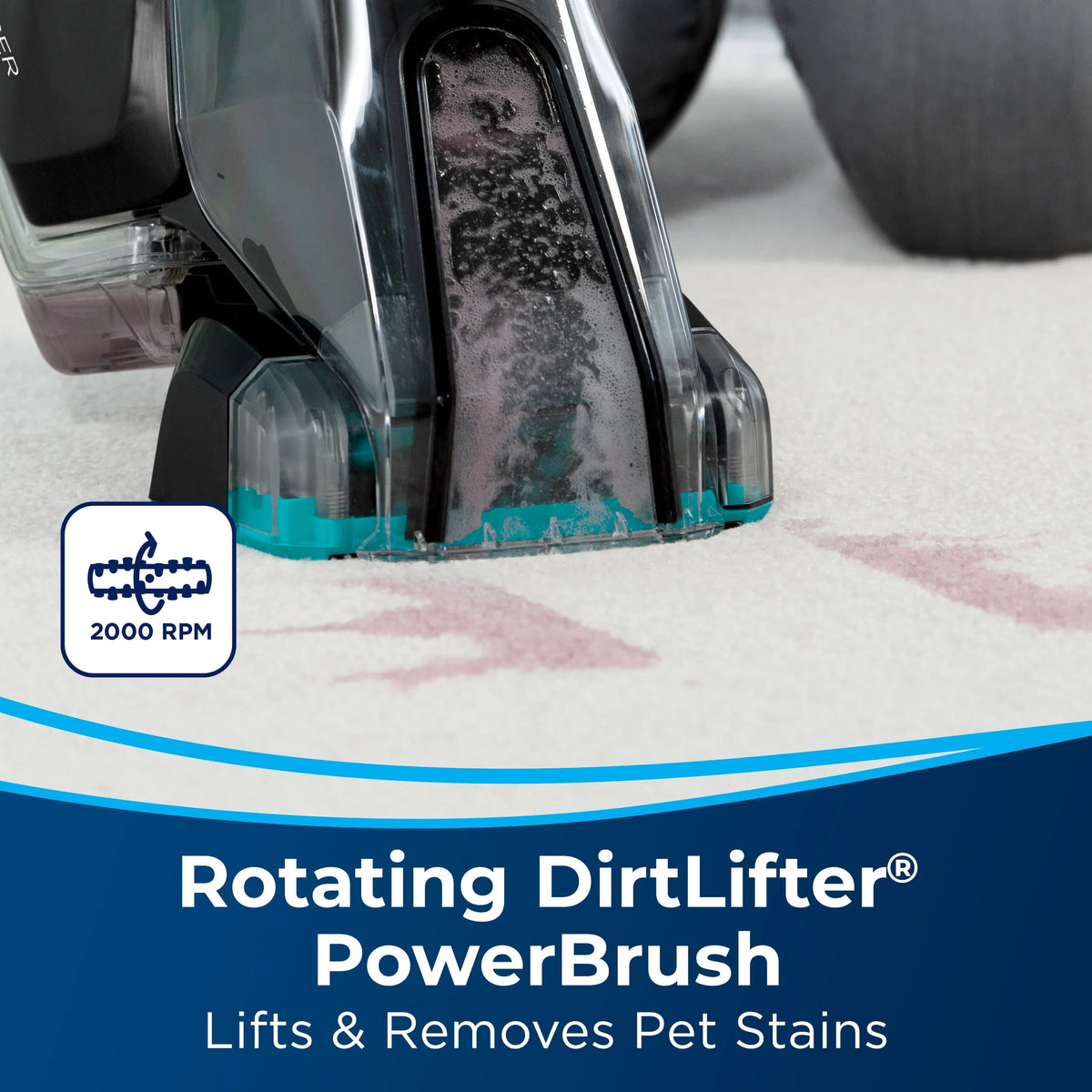 Portable Carpet Cleaner L78312