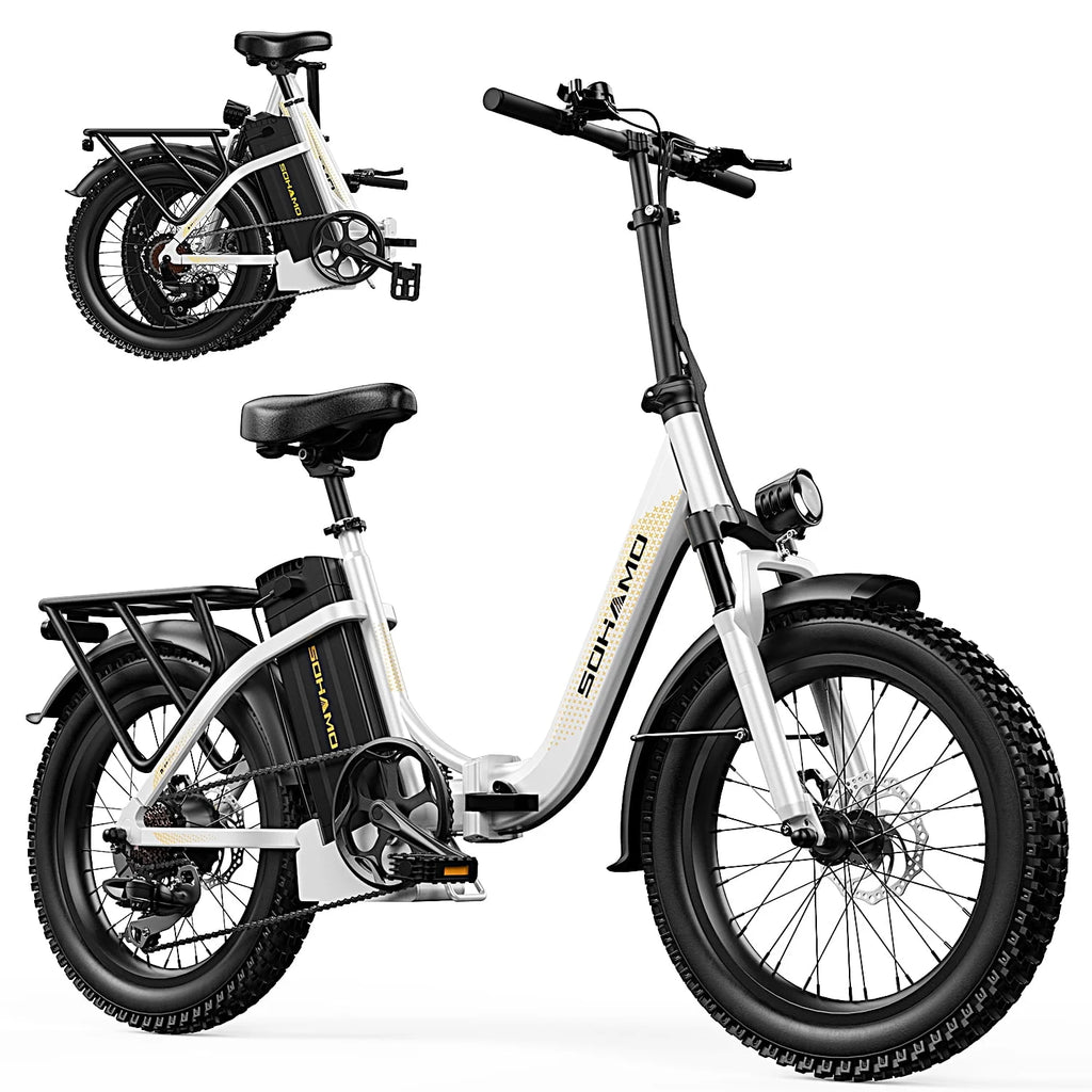 48V 15AH 750W Folding Electric Bike T2526