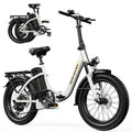 48V 15AH 750W Folding Electric Bike T2526