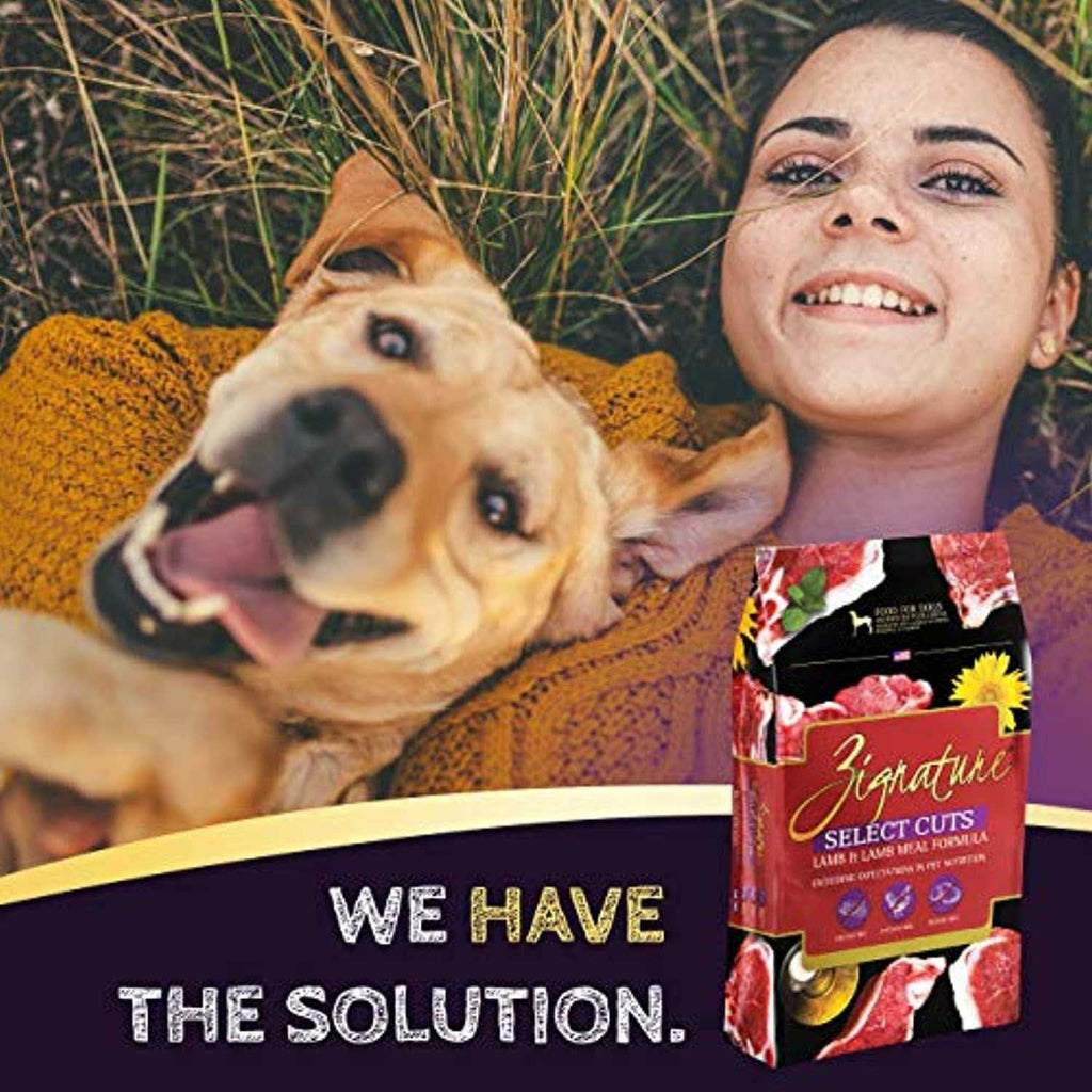 Lamb Formula Dry Dog Food L429698