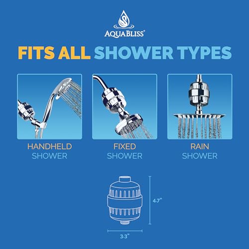 Chrome Shower Filter V5024