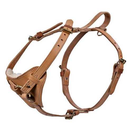 Leather Tracking Harness I514