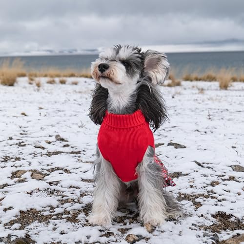 Christmas Dog Sweater Dress Turtleneck with Bowtie S4425