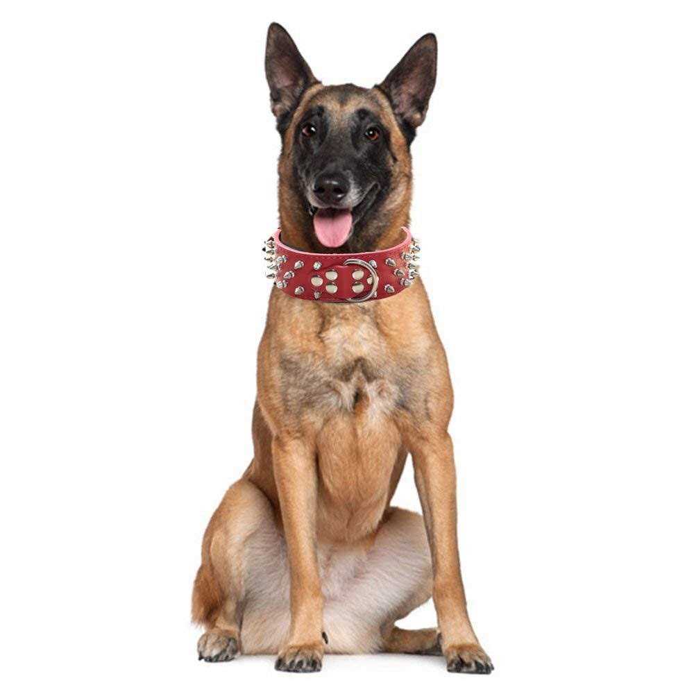 Leather Spiked Studded Dog Collar A881