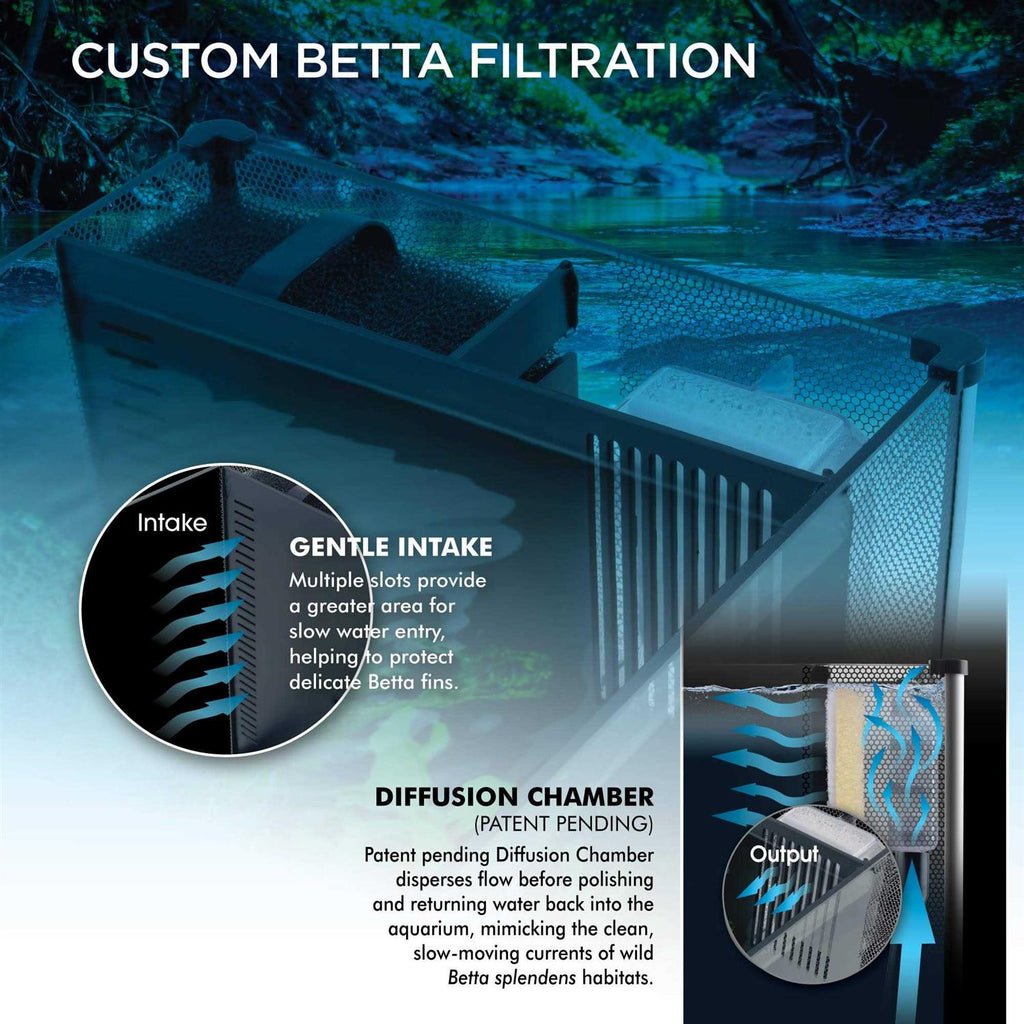 Betta Kit G208430