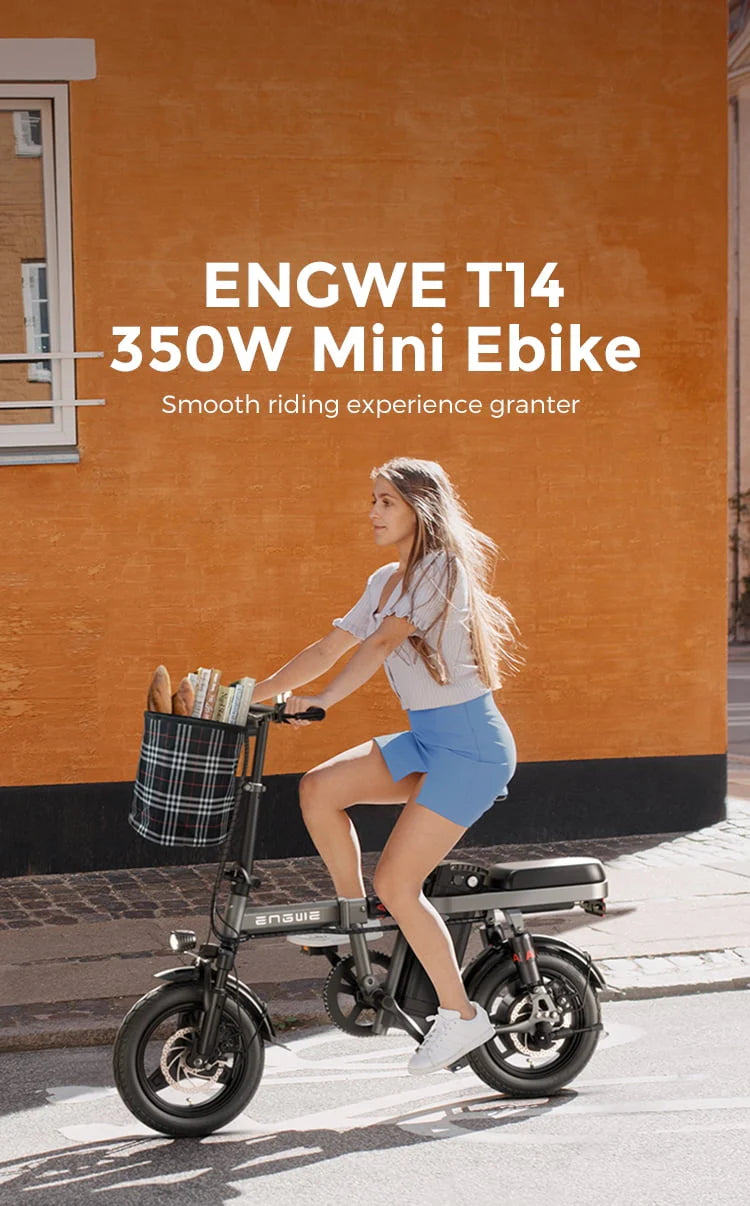 Folding Electric Bike 350W 48V 10AH Grey L181