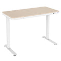 Height Adjustable Sit-Stand Desk with Drawer USB Hub Q989091