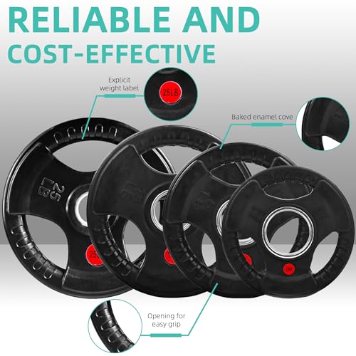 Cast Iron Weight Plates with Barbell Bar and Locks, 100 Pounds Set H1319