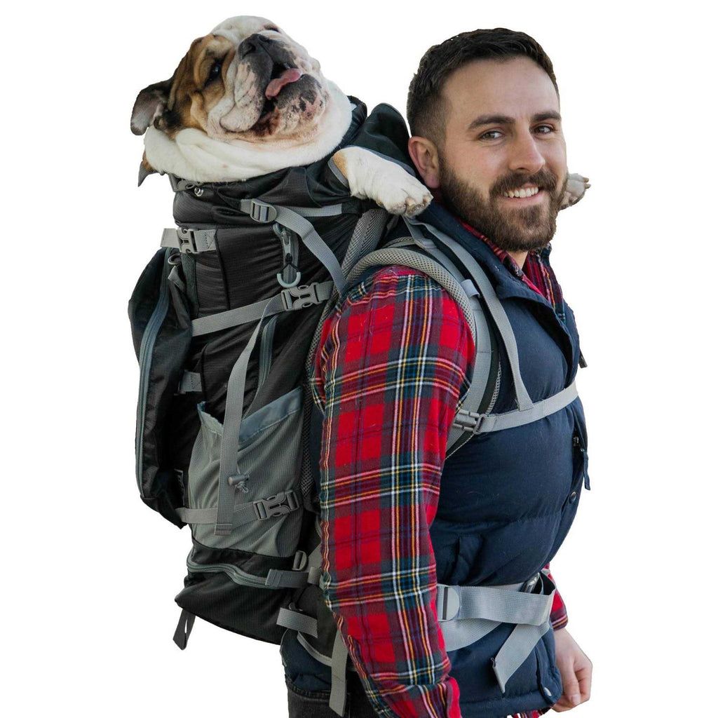 Dog Carrier N297749