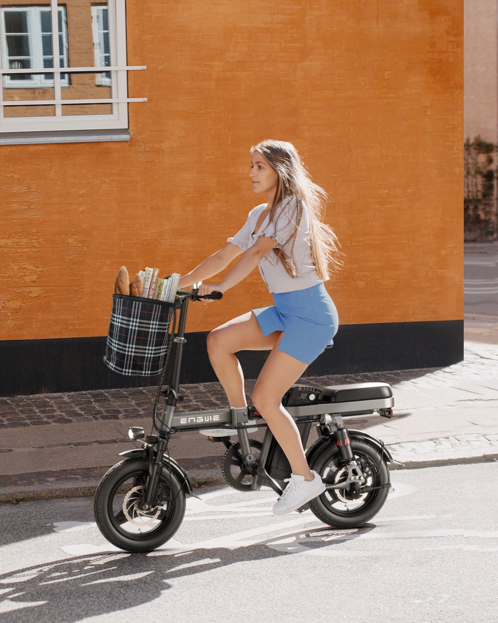 Folding Electric Bike 350W 48V 10AH Grey L181