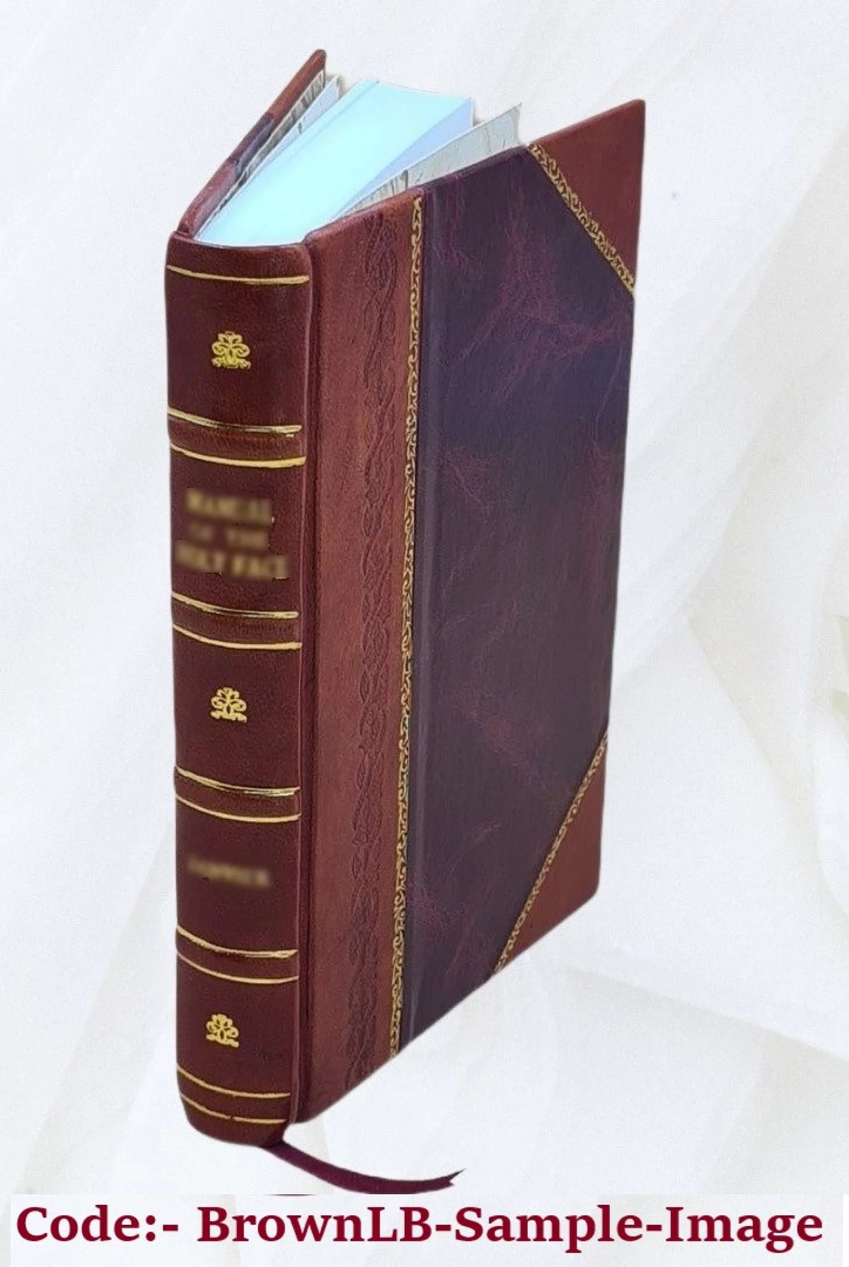 Leather Bound Tale of Real Life T216785