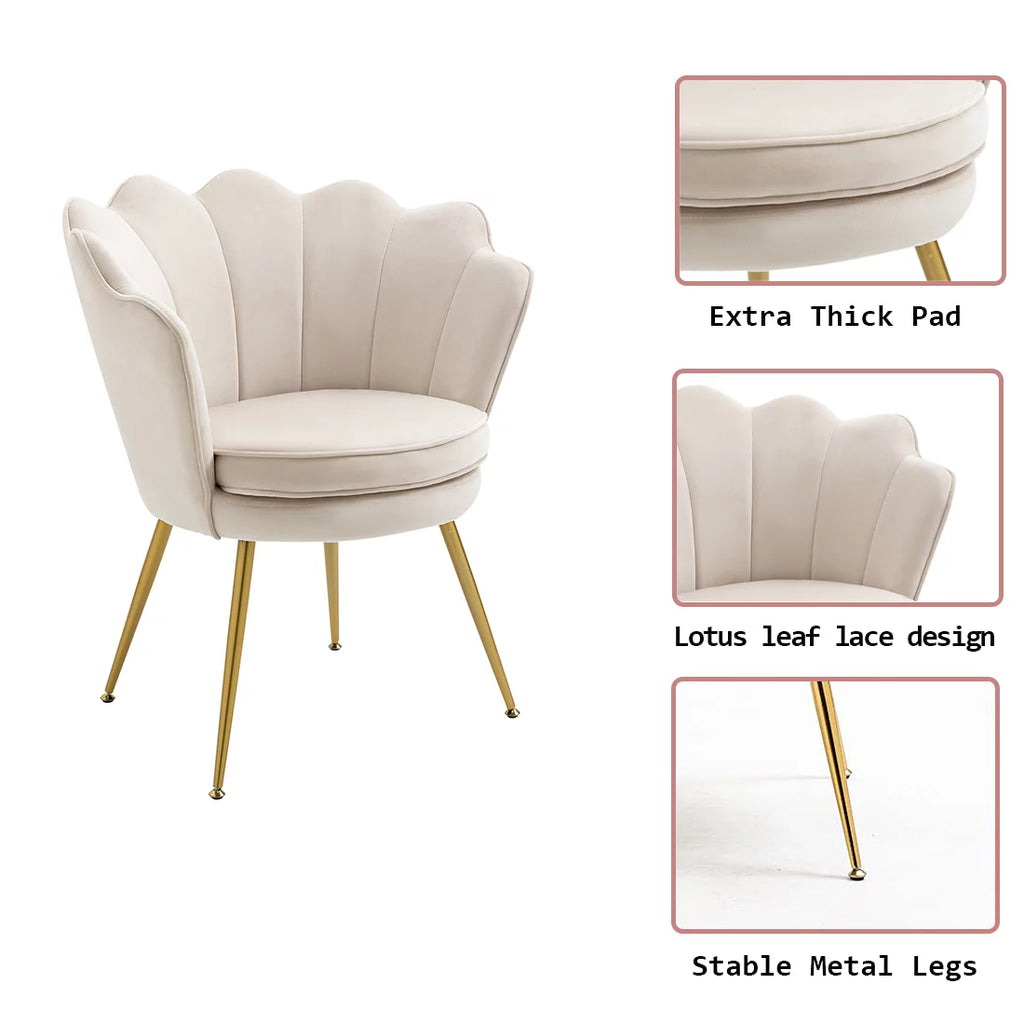 White Velvet Upholstered Arm Chair with Golden Metal Legs, Set of 2 B41342