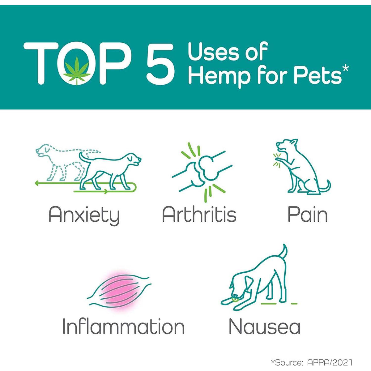 Hemp Helpers Collar for Dogs Z662