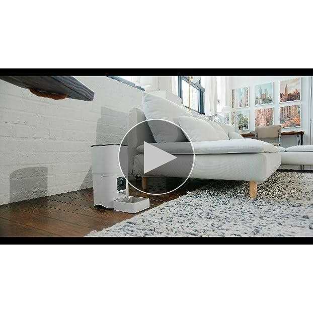 6-L Automatic Cat Feeder with LCD Screen P2305