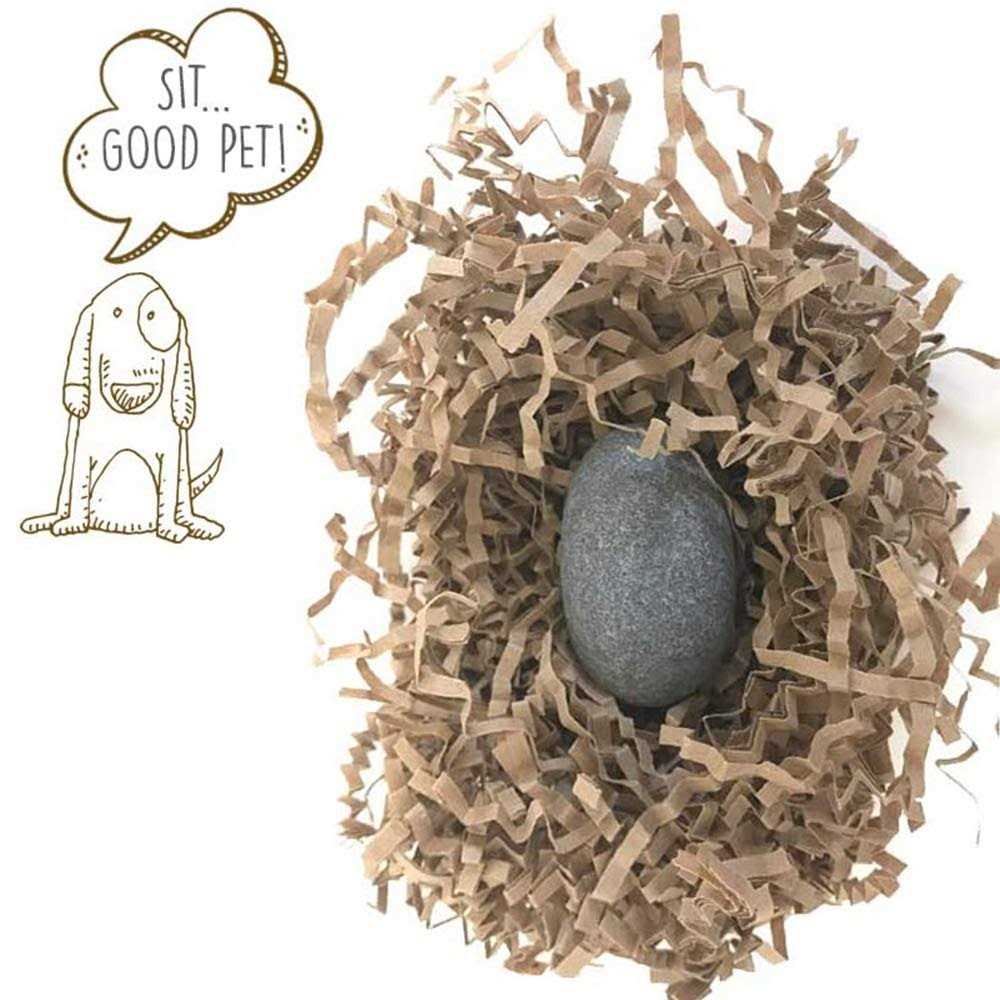 Pet Rock R88795