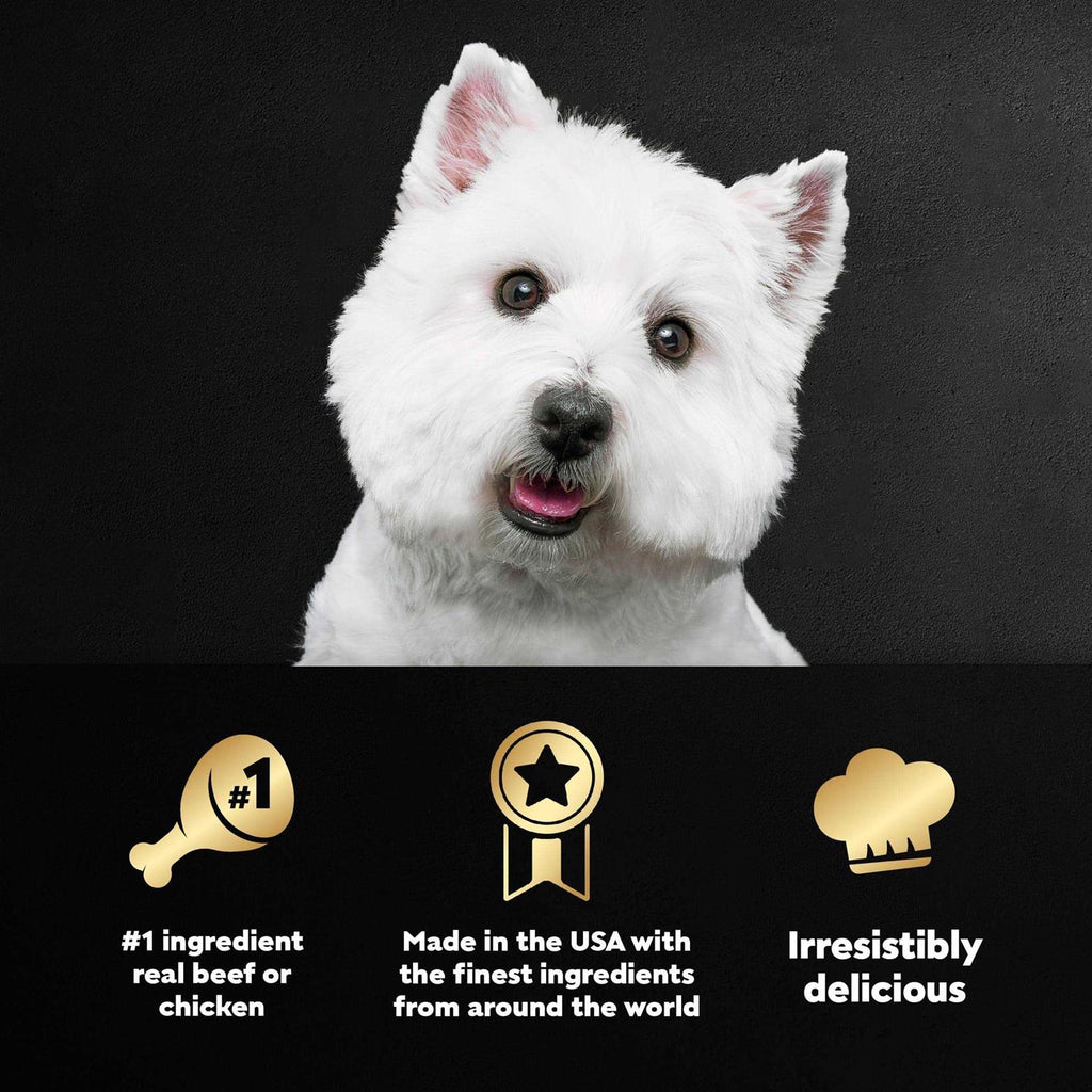 Vegetables Dog Food C250854
