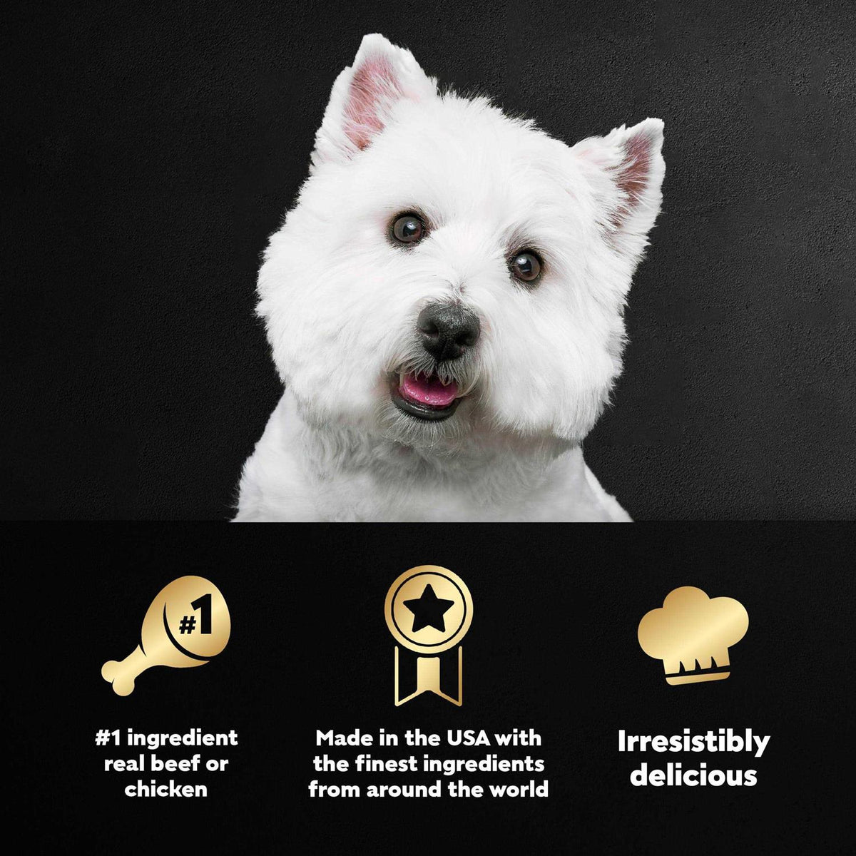 Vegetables Dog Food C250854