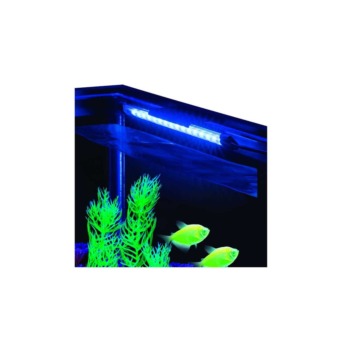 Blue LED Light C441785