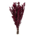 Merlot Pubescens 5 oz Bundle W594080