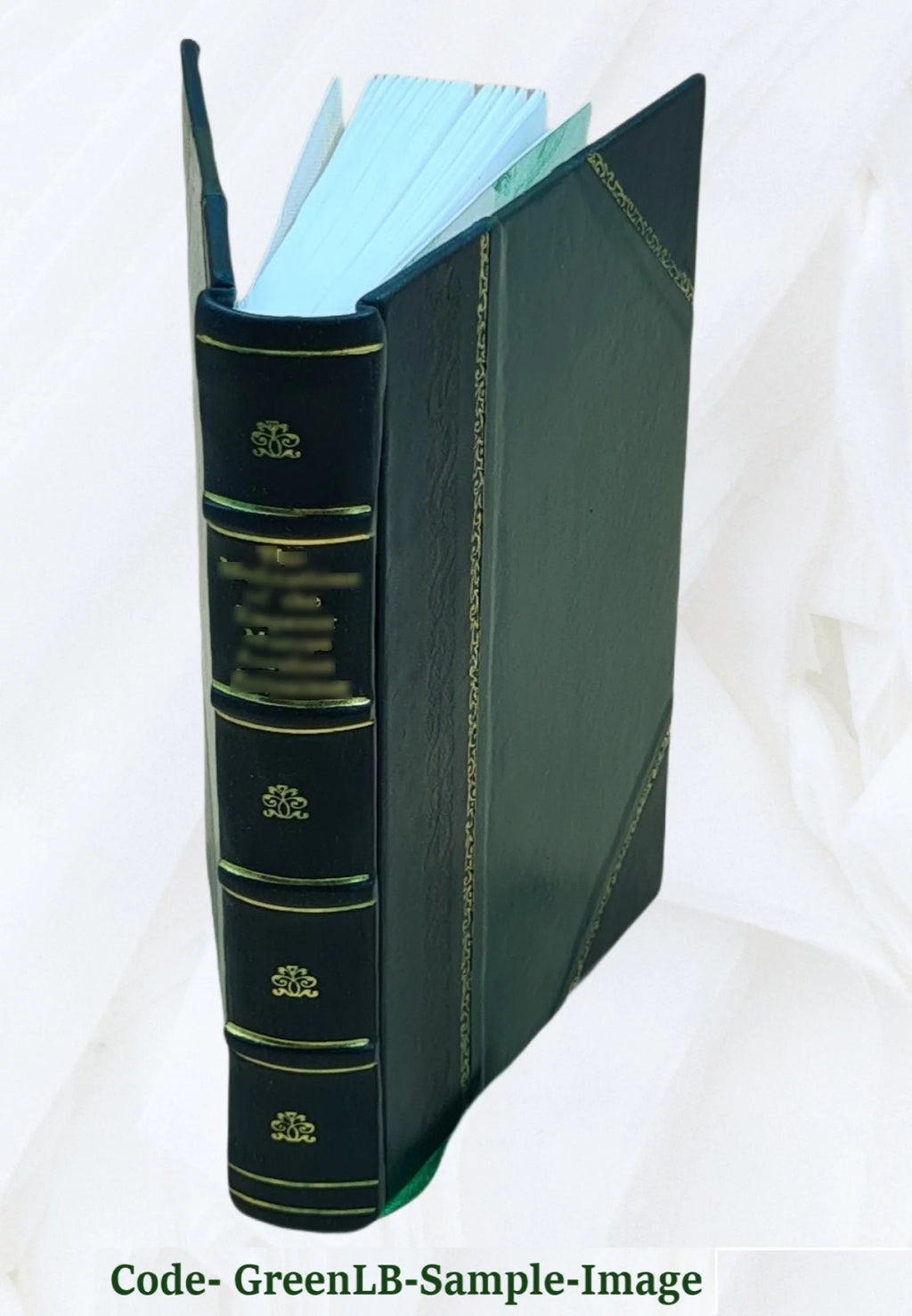 Leather Bound Tale of Real Life T216785