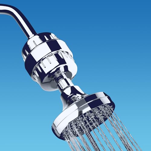 Chrome Shower Filter V5024