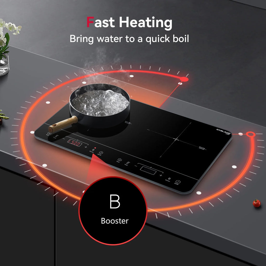 24 in. Portable 2 Elements Electric Induction Cooktop in Black I5727