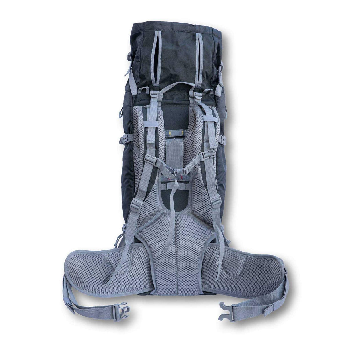 Dog Carrier N297749