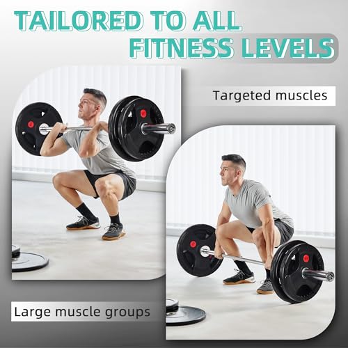 Cast Iron Weight Plates with Barbell Bar and Locks, 100 Pounds Set H1319