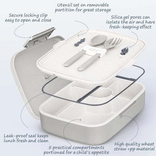 5 Compartment Insulated Bento Lunch Box C941