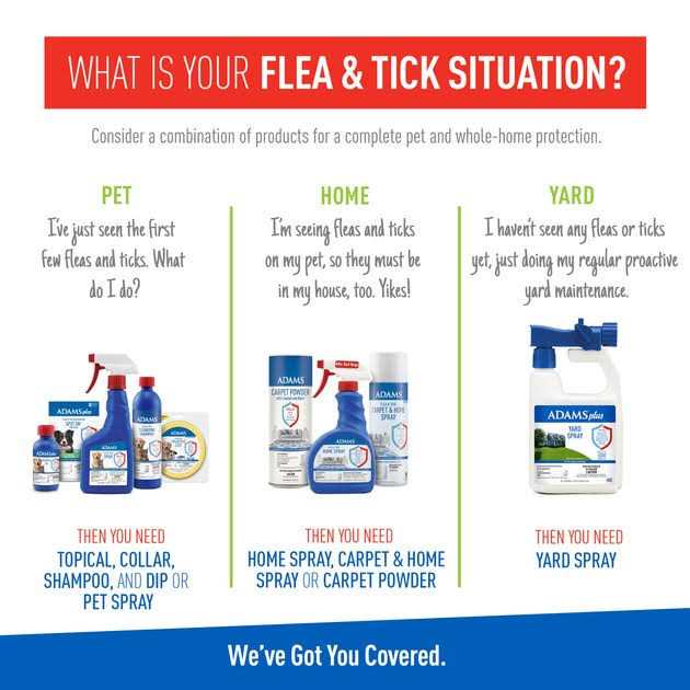 Foaming Flea And Tick Shampoo with Aloe And Cucumber G196