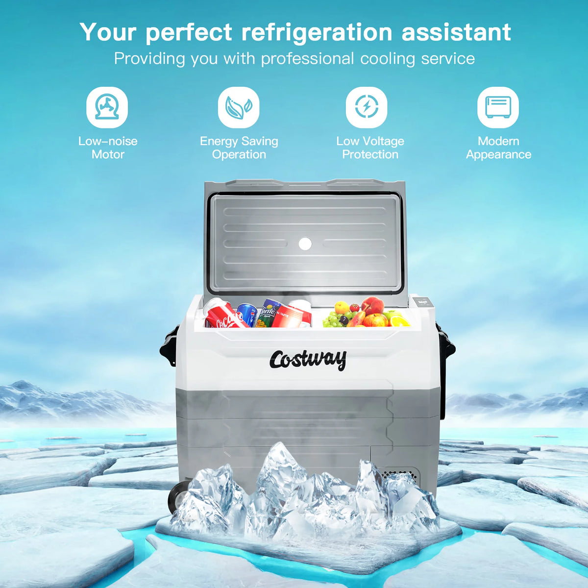 58 Quarts Portable Dual Zone Car Refrigerator S8957